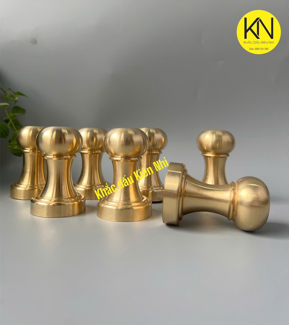 Dấu đồng nguyên khối